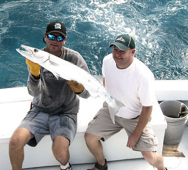 Big Barracuds caught fishing Key West on Key West charter fishing boat Southbound from Charter Boat Row Key Wes