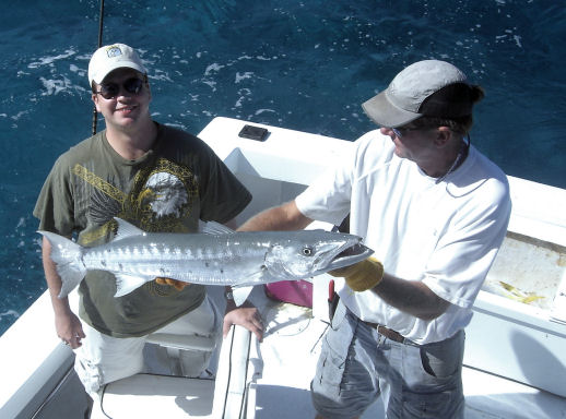 Barracuda in Key West fishing on charter boat Southbound from Charter Boat Row Key Wes