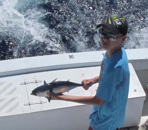 Bonitos caught in Key West fishing on charter boat Southbound from Charter Boat Row Key Wes