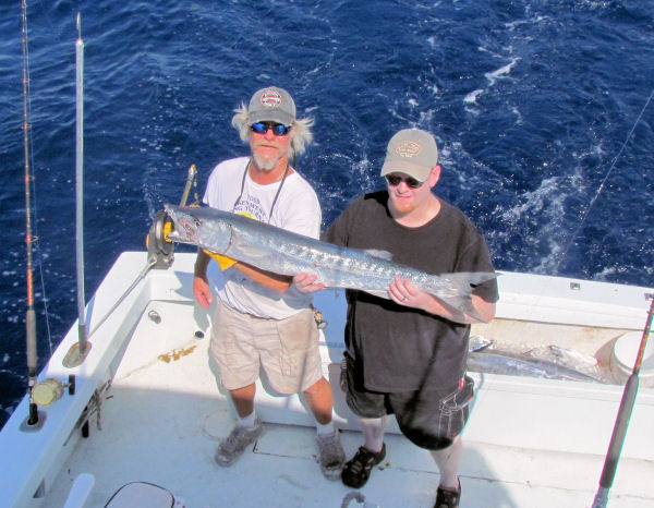 Barracuda caught in Key West fishing on Key West charter boat Southbound from Charter Boat Row