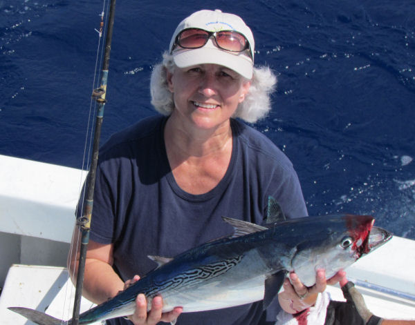  Bonito  caught in Key West fishing on charter boat Soutbhbound from Charter Boat Row Key West