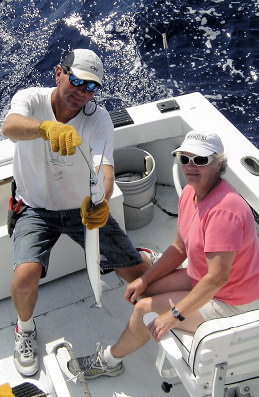 Houndfish caught fishing in Key West, florida on charter boat Southbound