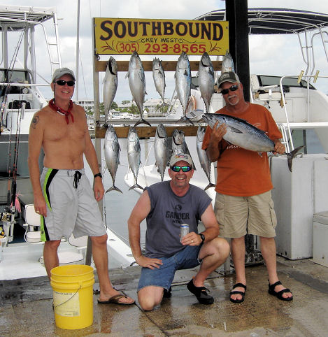 Bonitos caught fishing in Key West on charter boat Southbound from Charter Boat Row