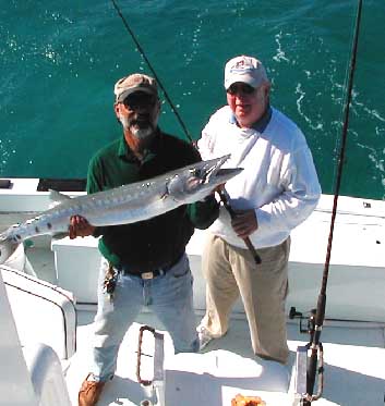 Key West barracuda