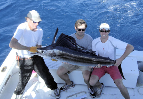 Sailfish caught in Key West fishing on Charter Boat Southbound from Charter Boat Row, Key West
