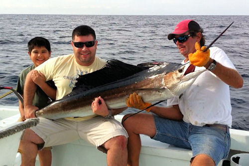 Sailfish caught in Key West fishing on charter boat Southbound from Charter Boat Row, Key West