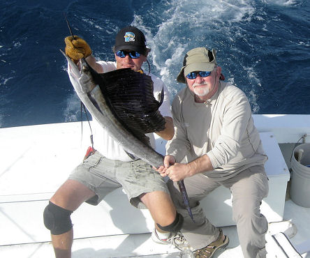 Sailfish Caught fishing Key West on charter Boat Southbound