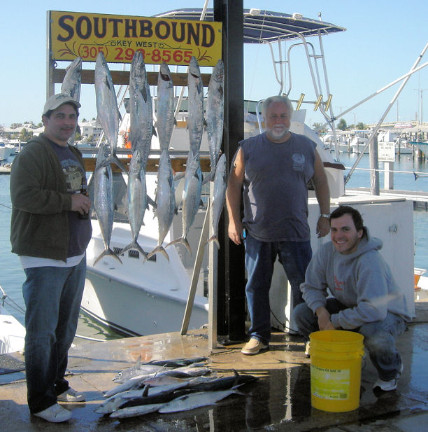 Meckerels and Kingfish caught on Key West charter fishing boat Southbound from Charter Boat Row, Key West
