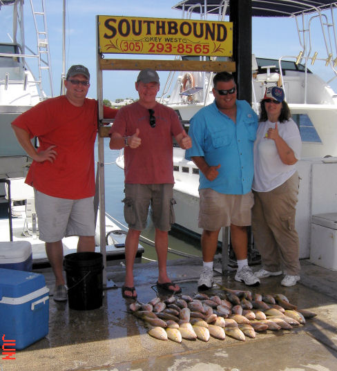 Limit of Yellow Tail Snapper caught on Key West Charter Boat Southbound from Charter Boat Row