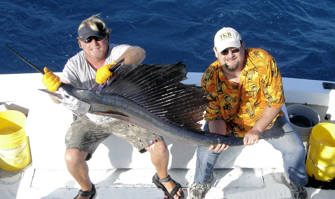 Sailfish caught fishing Key West on Key West Charter fishing boat Southbound from Charter Boat Row