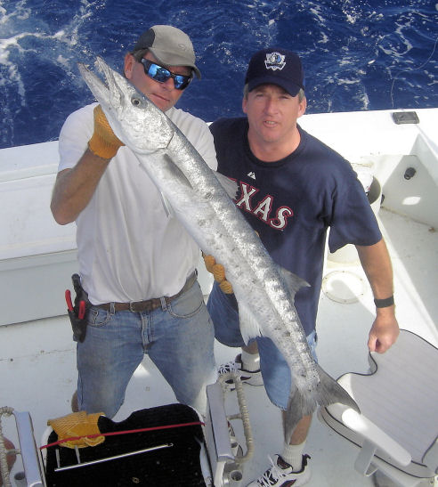 Big Barracuda caught in Key West fishing on charter boat Southbound from Charter Boat Row Key West
