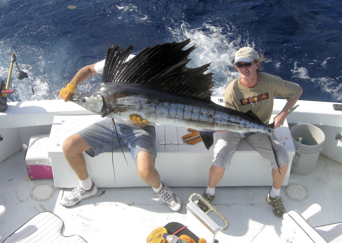 Sailfish caught in Key West fishing on Key West charter boat Southbound from Charter Boat Row