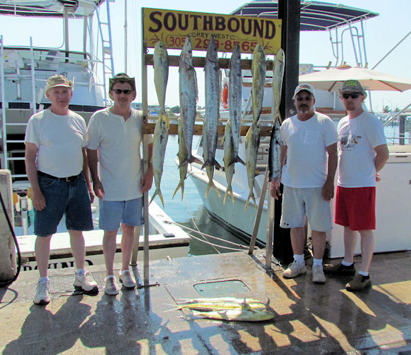 Wahoo and  Dolphin  caught in Key West fishing on charter boat Southbound from Charter Boat Row, Key West