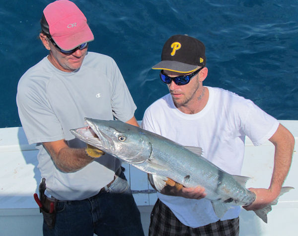 Barracuda caugth in Key West fishing on charter boat Southbound from Charter Boat Row Key West