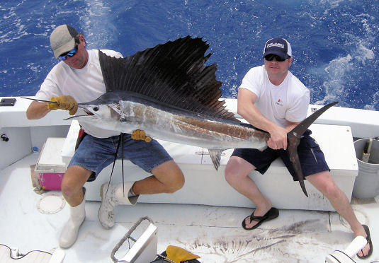 Sailfish caught on Key West deep sea fishing charter boat Southbouhd from Charter Boat Row Key West