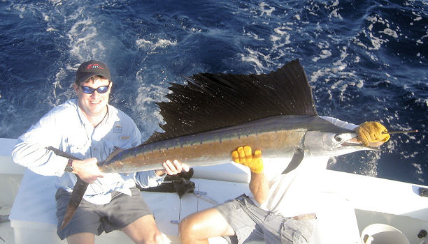 Sailfish caught fishing on charter boat Southbound in Key West, Florida