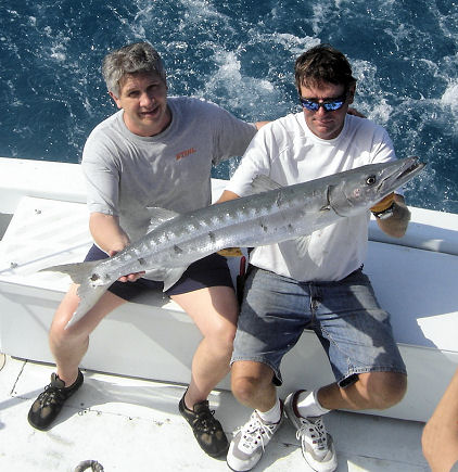 Barracuda  caugth in Key West fishing on charter boat Southbound from Charter Boat Row Key West