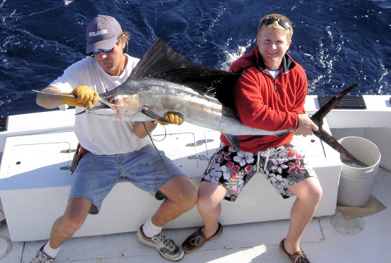 Sailfish caught fishing aboard charter boat Southbound in Key West, Florida