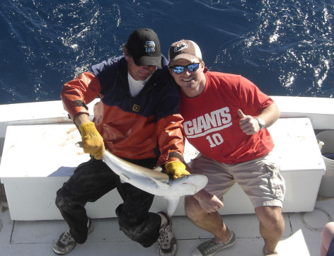 Barracuda Caught fishing Key West on charter Boat Southbound