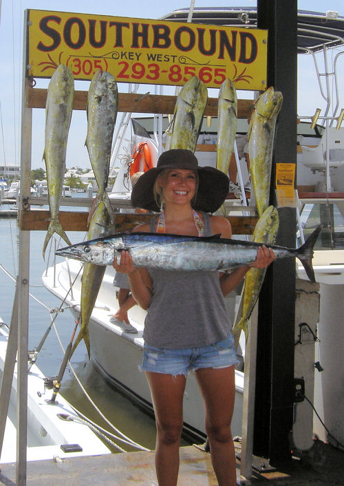 Wahoo caught in Key West fishing on Charter Boat Southbound from Charter Boat Row, Key West