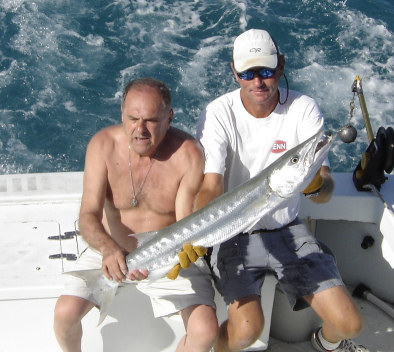 Barracuda caugth on charter boat Southbound while fishing in Key West, Florida