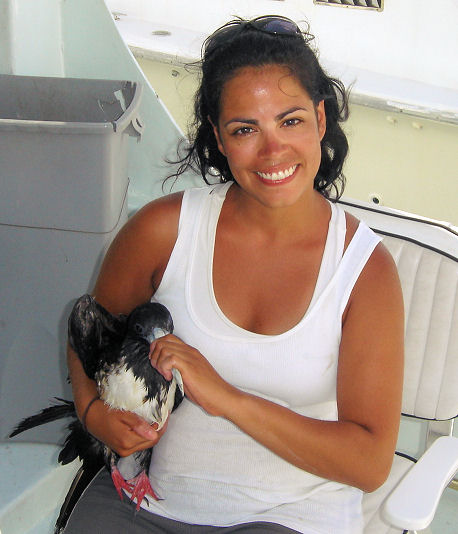 Frigate Bird rescued from the wateer of key west by charter boat Southbound from Charter Boat Row Key West