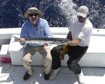 Barracuda Caught fishing on Key West deep sea fishing boat Southbound from Charter Boat Row Key Wes