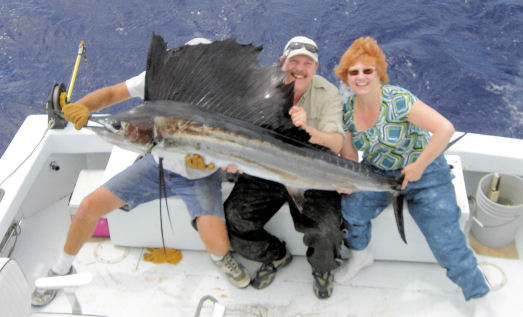 Sailfish  caught deep sea fishing on Key West Charter fishing boat Southbound from Charter Boat Row, Key West
