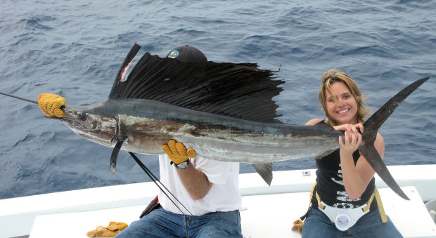 Sailfish caught fishing Key West on charter boat Southbound from Charter Boat Row