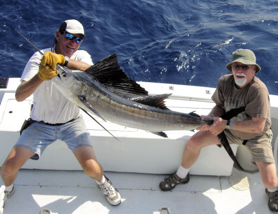 Sailfiish caught and released fishing Key West Florida on charter boat Southbound