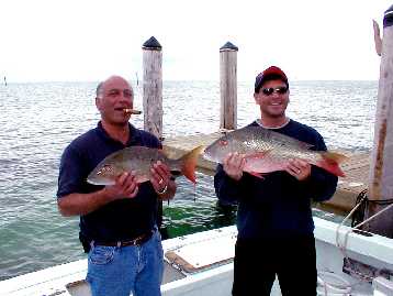 Mutton Snappers caught in Key West Florida