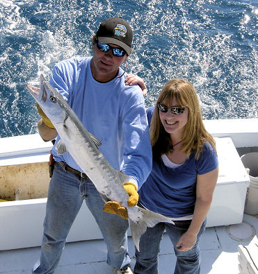 Barracuda caught on charter boat Southbound in Key West, Florida