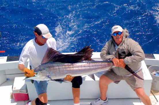 Sailfish caught and released in Key West Florida fishing on charter boat Southbound