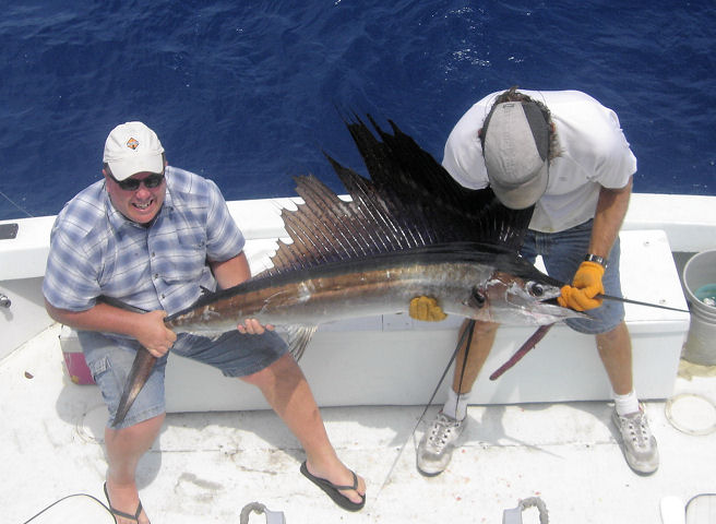 Sailfish caught and released in Key West fishing on charter boat Southbound from Charter Boat Row Key West