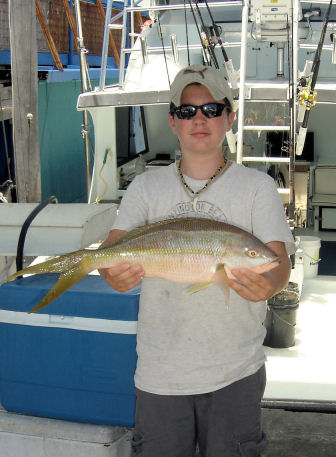 Yellow Tail Snapper caught fishing on Key West charter boat Southbound from Charter Boat Row Key West