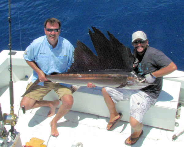 Sailfish caught in Key West fisihing on charter boat Southbound from Charter Boat Row, Key West Florida