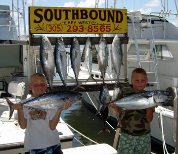 Bonitos caught fishing Key West on charter boat Southbound