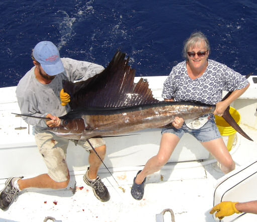 Sailfish caught aboard Southbound in Key West Florida in 2006