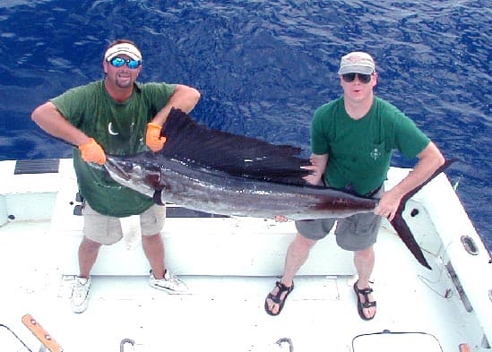Fighting a Sailfish in Key West Florida