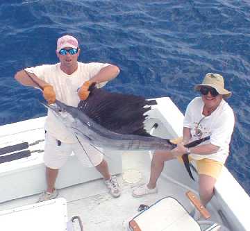 Sailfish Caught and Released in Key West, Florida!