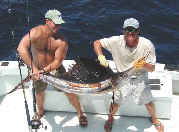 Sailfish caught and released in Key West, Flolrida