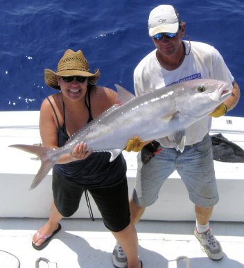 Amberjack caught and released while fishing Key West Florida on the charter boat Southbound