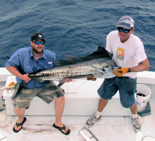Sailfish caught and released fishing in Key West on Charter Boat Southbound from Charter Boat Row Key West