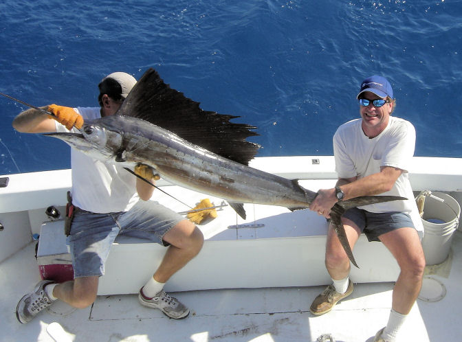 Sailfish caught in Key West fishing on charter boat Southbound from Charter Boat Row Key Wes