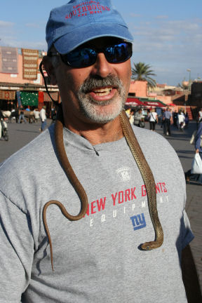 I'm in Morocco, so I'm wearing a snake, I don't know why