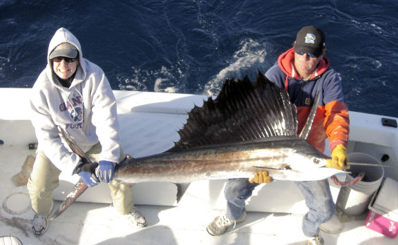 Sailfish caught fishing Key West on Charter Boat Southbound