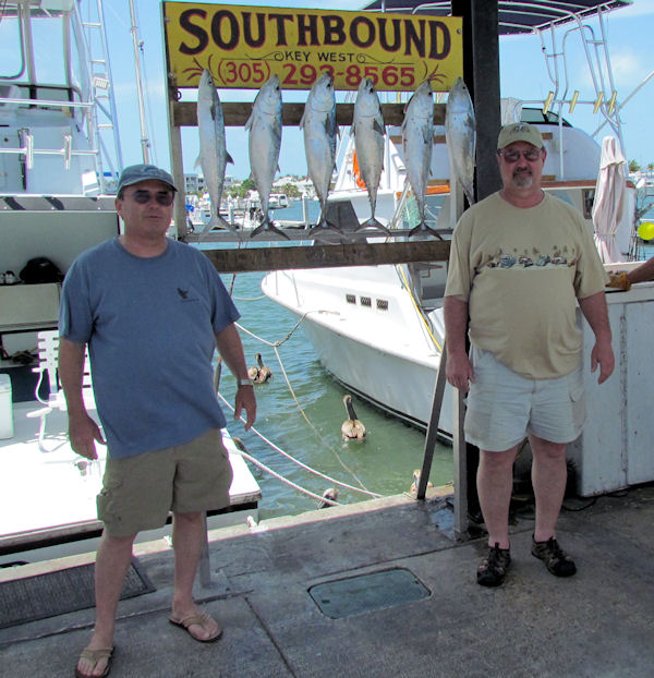 Bonitos caught in Key West fishing on charter boat Southbound from Charter Boat Row, Key West
