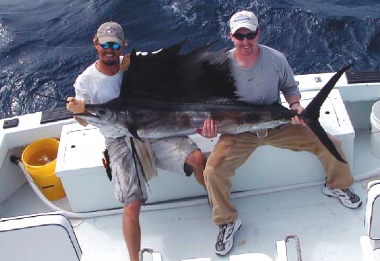 Sailfish ! Caught and Released in Key West