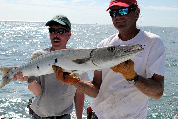 Big Barracuda caught and released in Key West fishing on Charter Boat Southbound from Charter Boat Row Key West