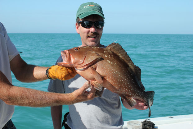 Red Grouper caught and released in Key West fishing on Charter Boat Southbound from Charter Boat Row Key West